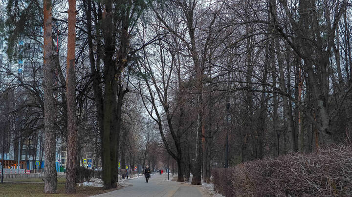 Москва