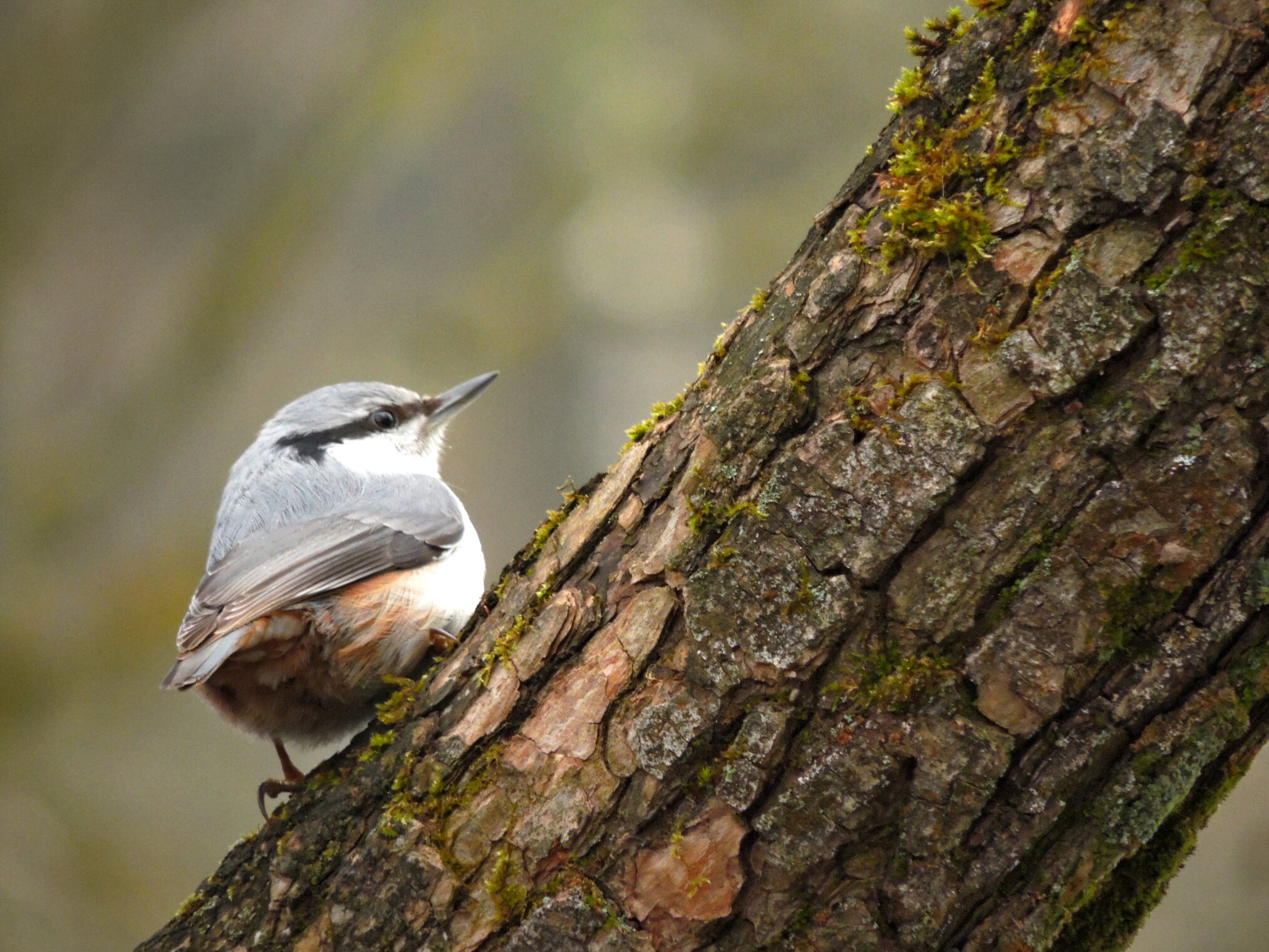 Держи нос по  ветру
