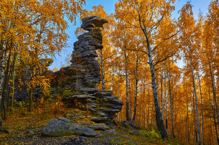 Окружила осень.