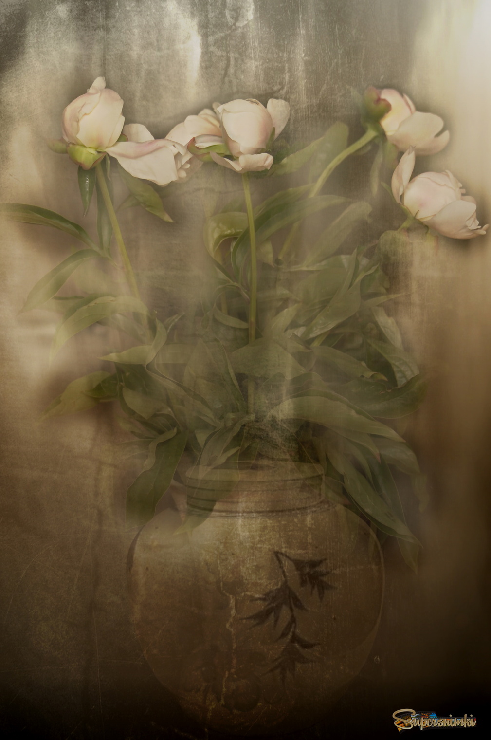 Нежные пионы