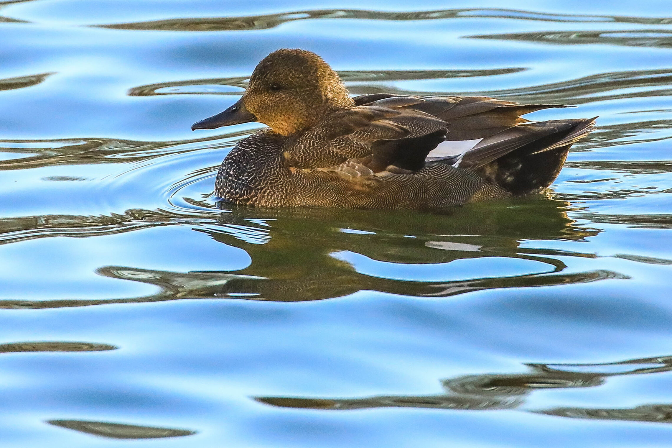 Спать очень хочется!