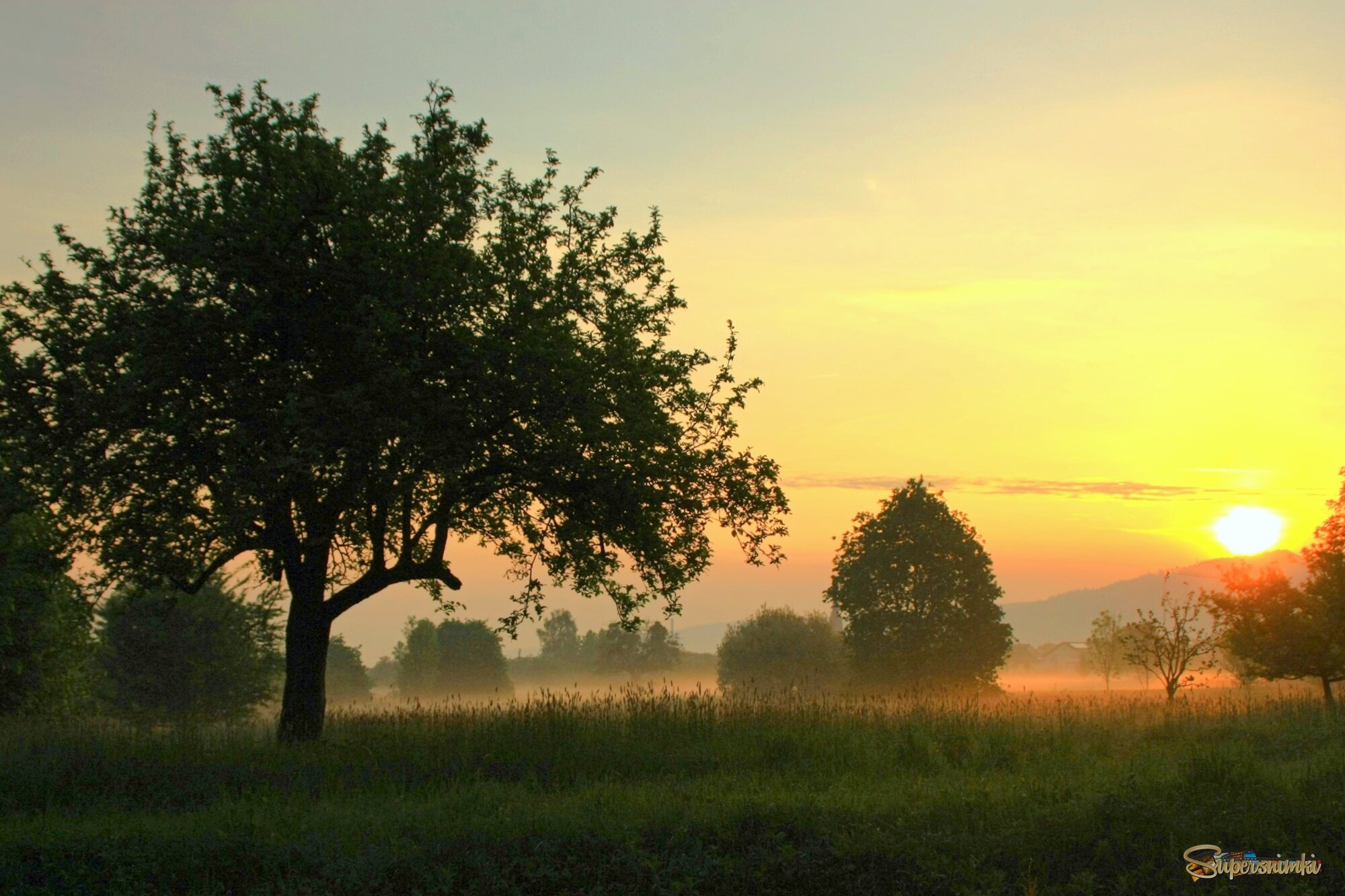  Утра раннего картина