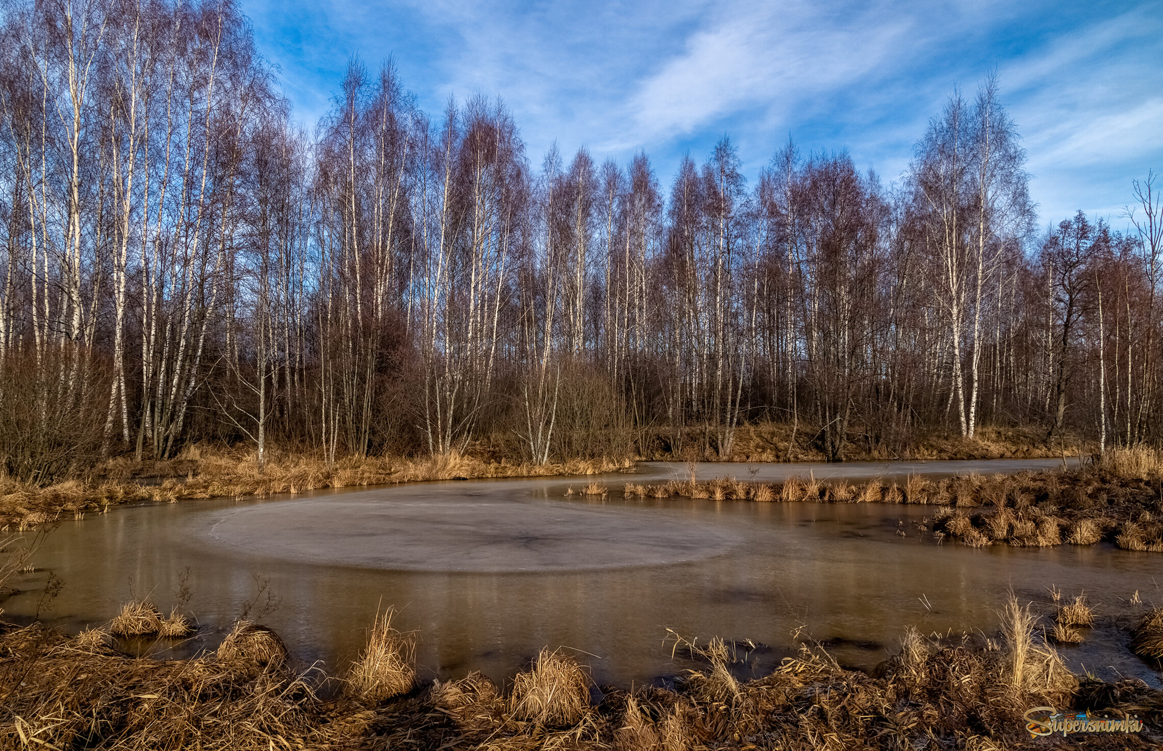  Февральское, зимние утро :) 3 