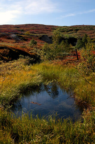 Kola Peninsula. Petsamontunturit.
