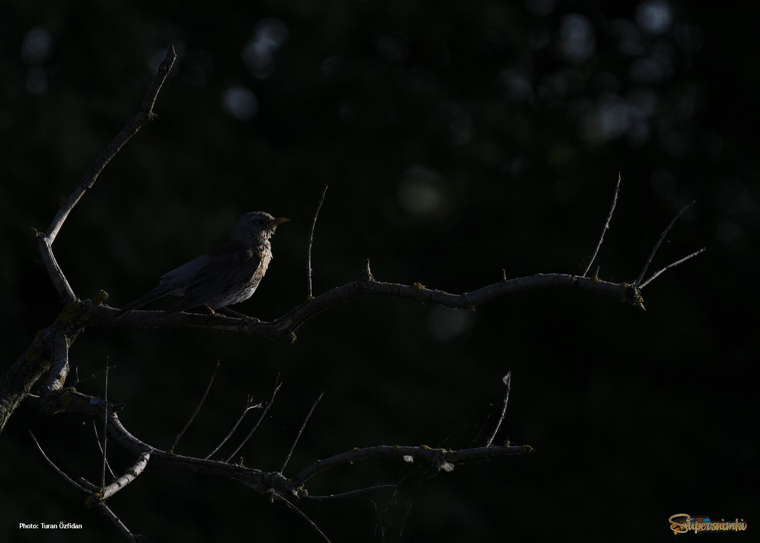 67a2422c0057fa8da635cc98