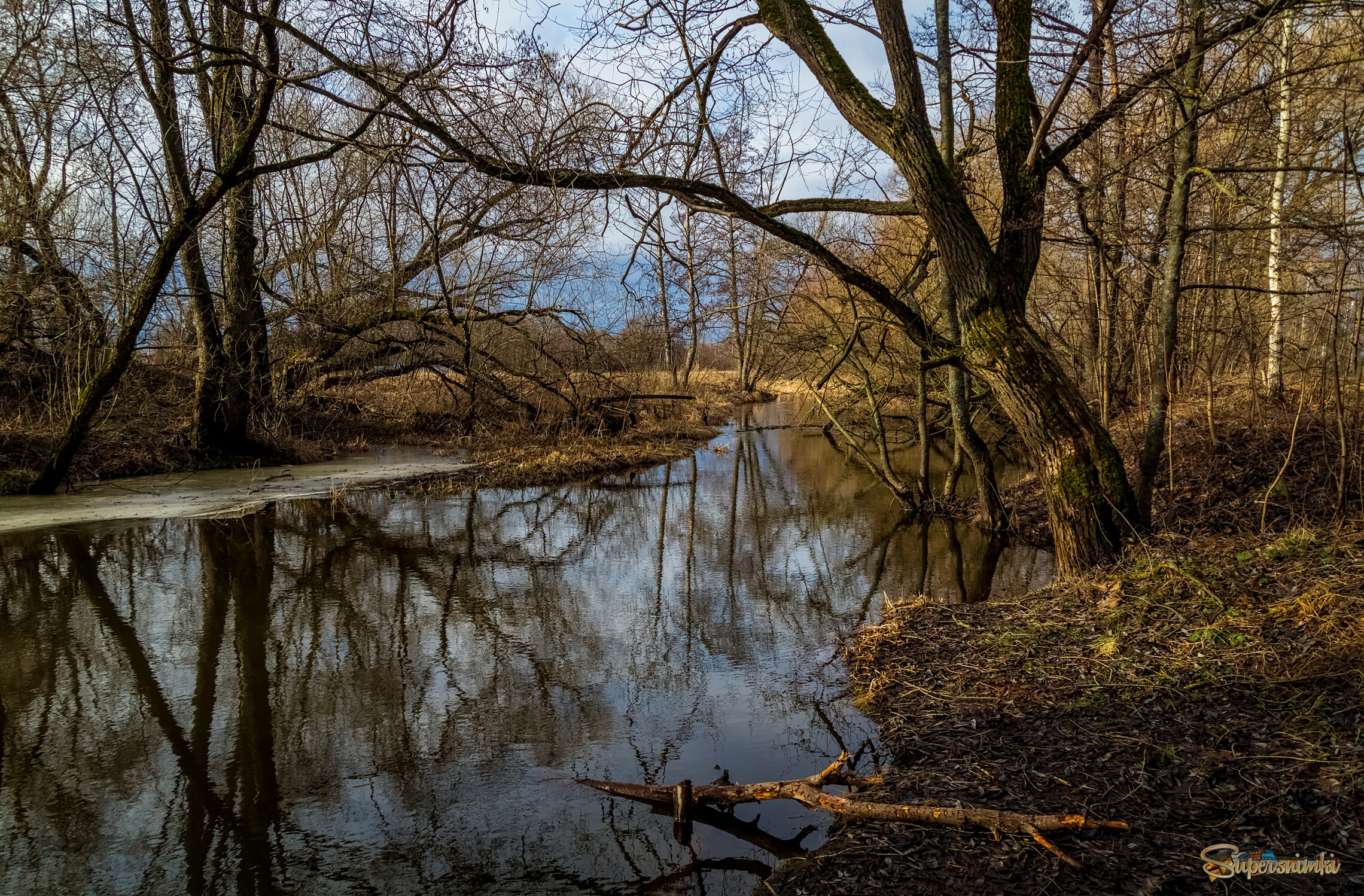 Февральское, зимние утро :) 4 