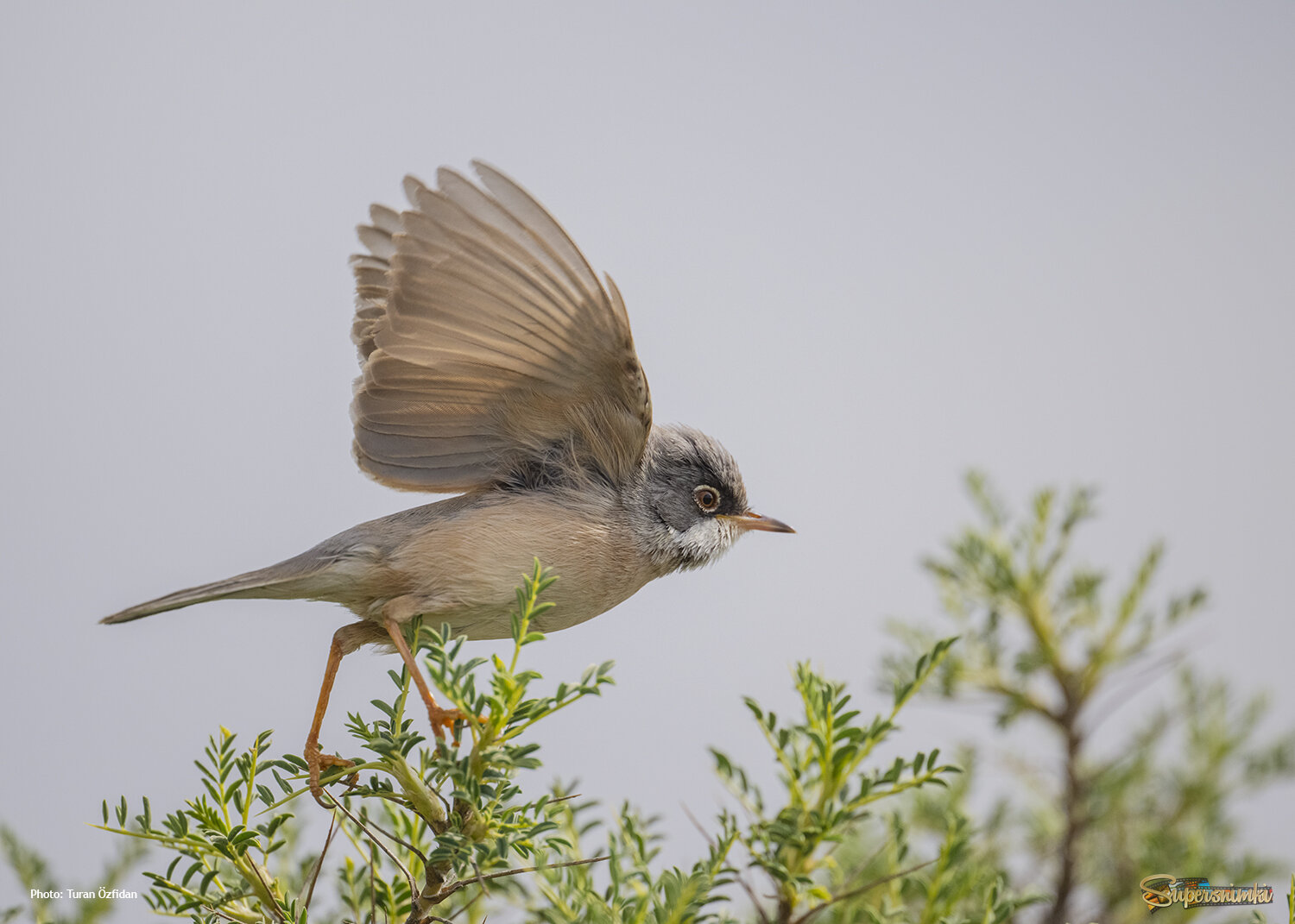 67a398a65cb9298b8535cc97