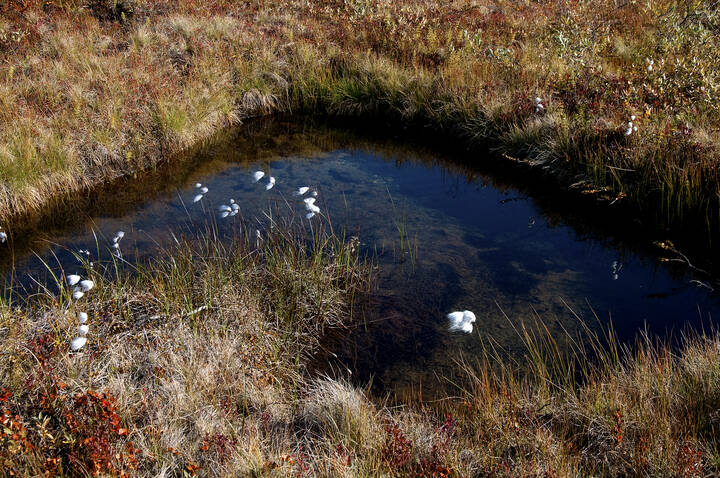 Kola Peninsula. Petsamontunturit.