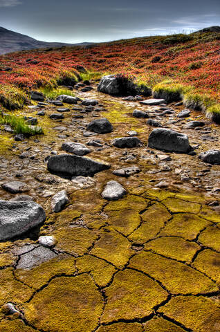 Kola Peninsula. Petsamontunturit.