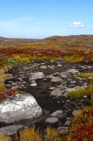 Kola Peninsula. Petsamontunturit.