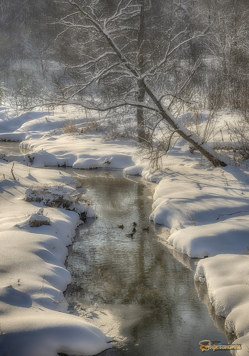 Тёплая зима