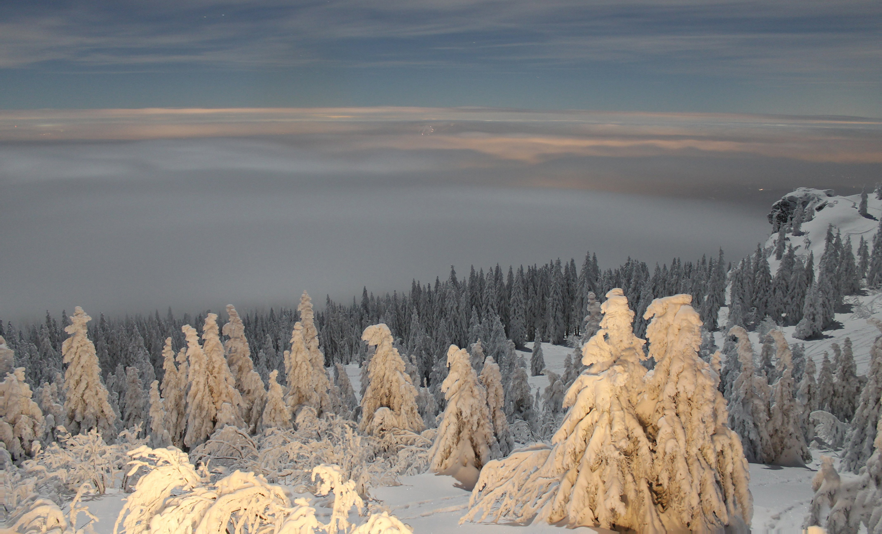 67a60e65d6bd2d52bd35cc93