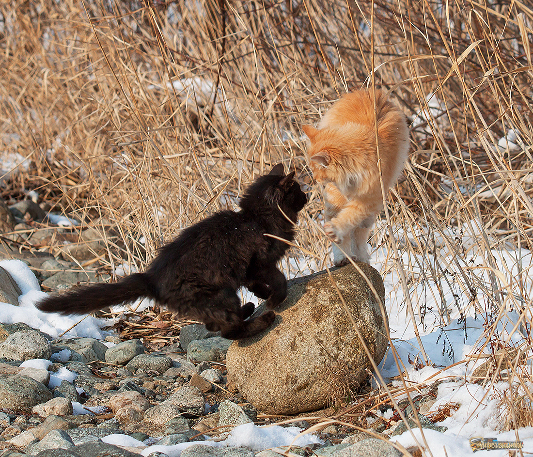 Бой за высоту... )
