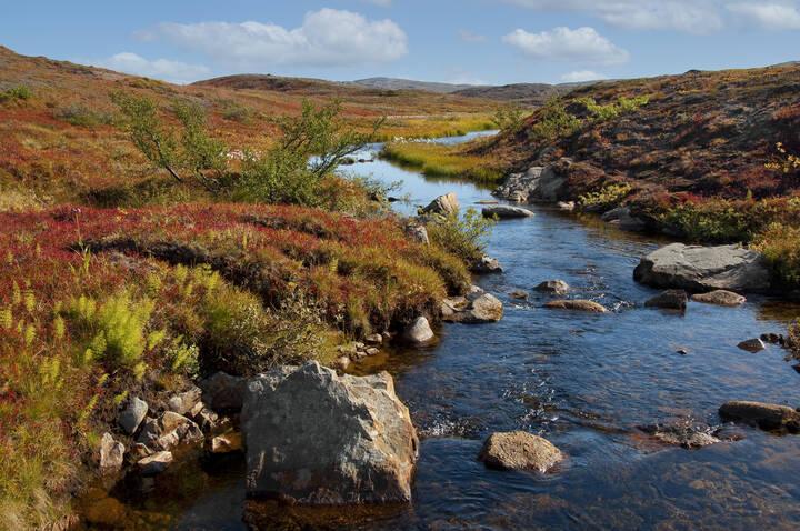 Kola Peninsula. Petsamontunturit.