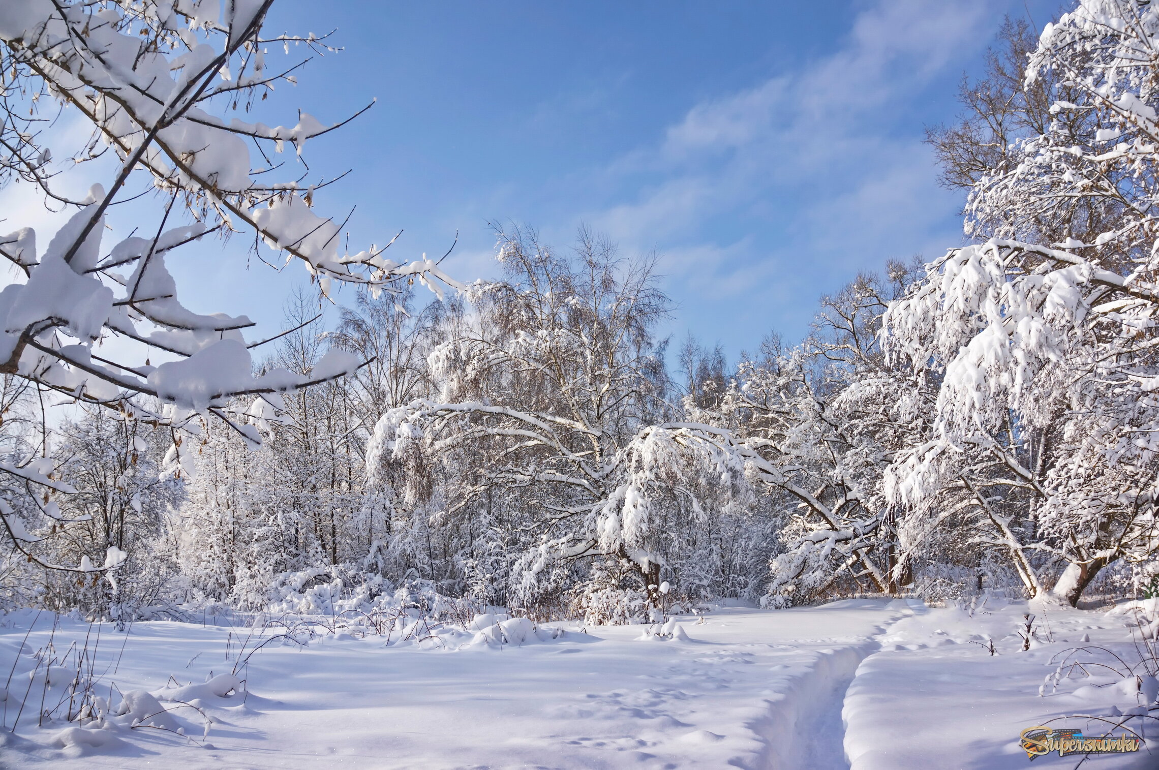 Тропинка завела