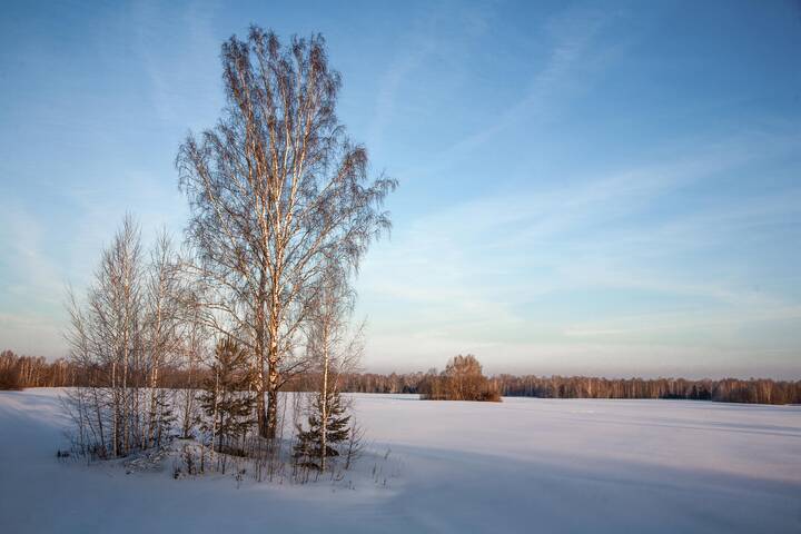 Февраль . Поле.