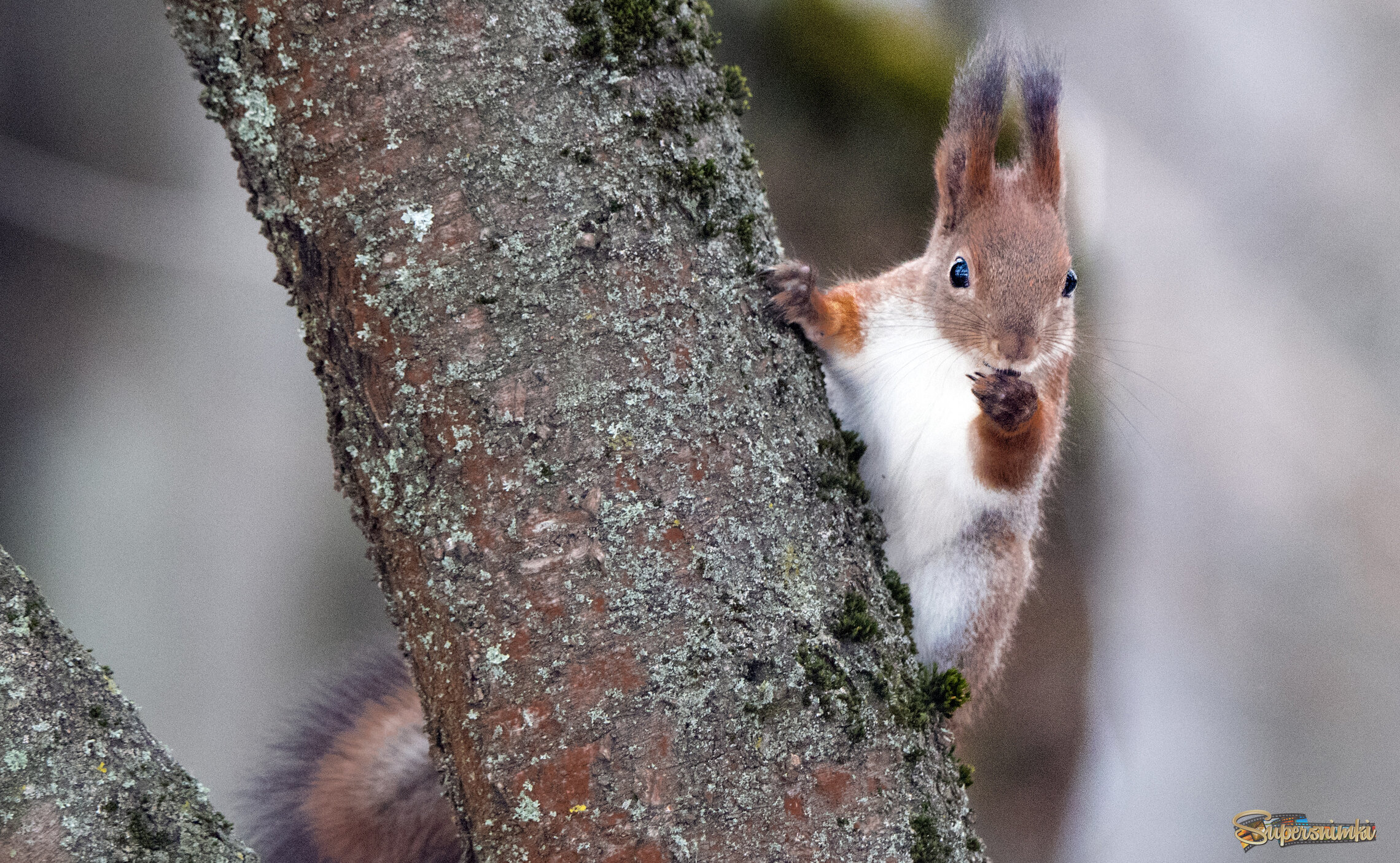 Воздушный поцелуй.