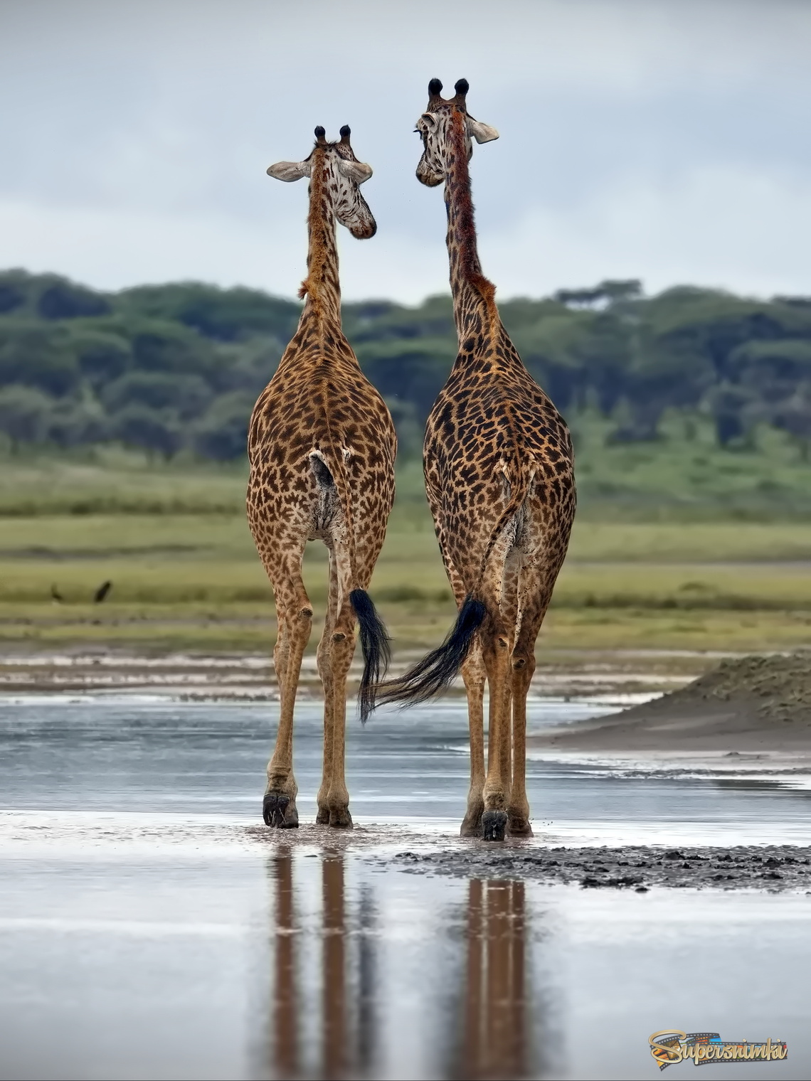 Неспешная беседа