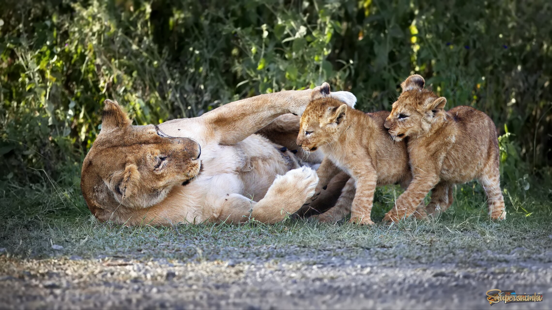 Пусть всегда будет мама!