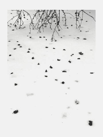 12.02