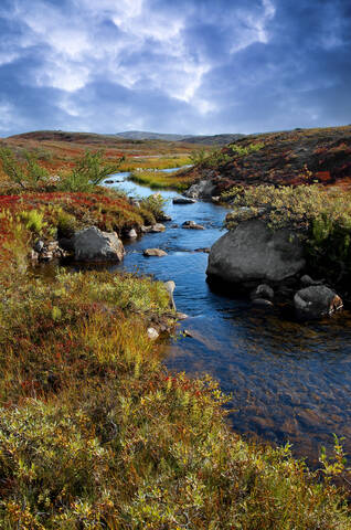 Kola Peninsula. Petsamontunturit.