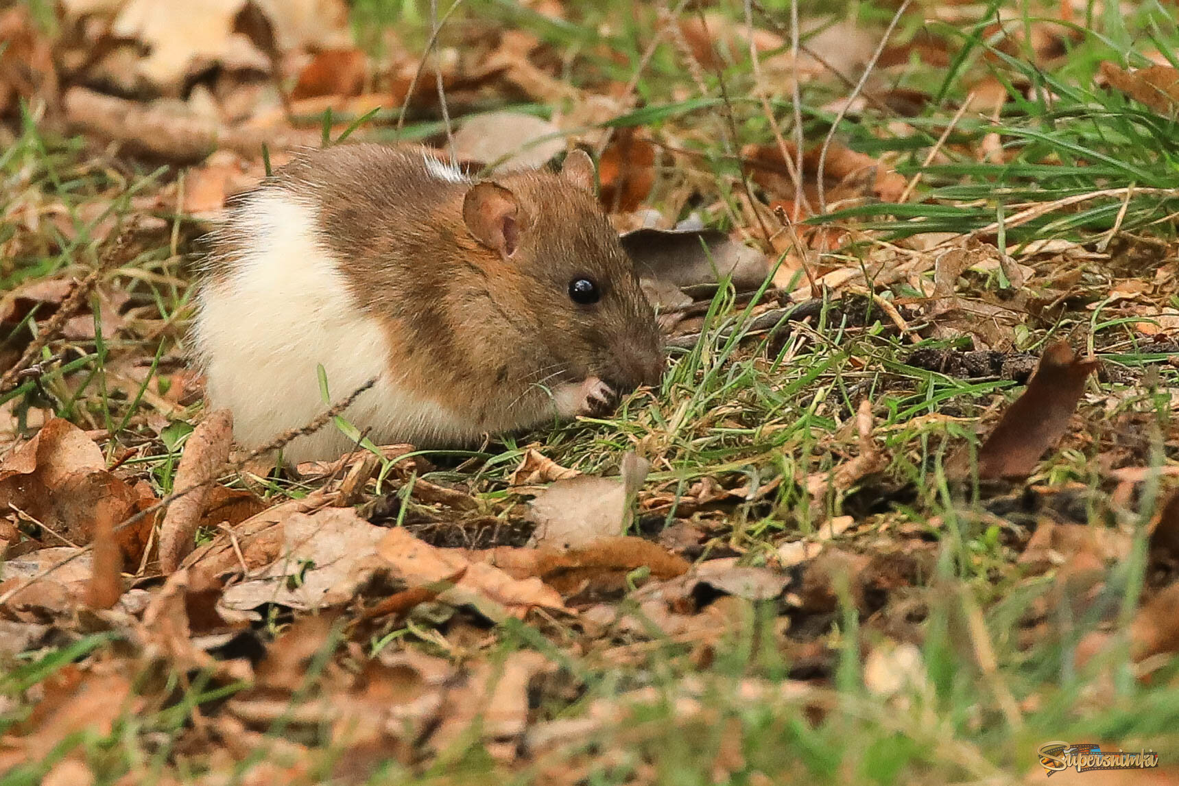 Зима 2025 в Москве