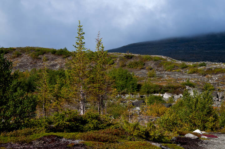 Kola Peninsula. Мончетундра