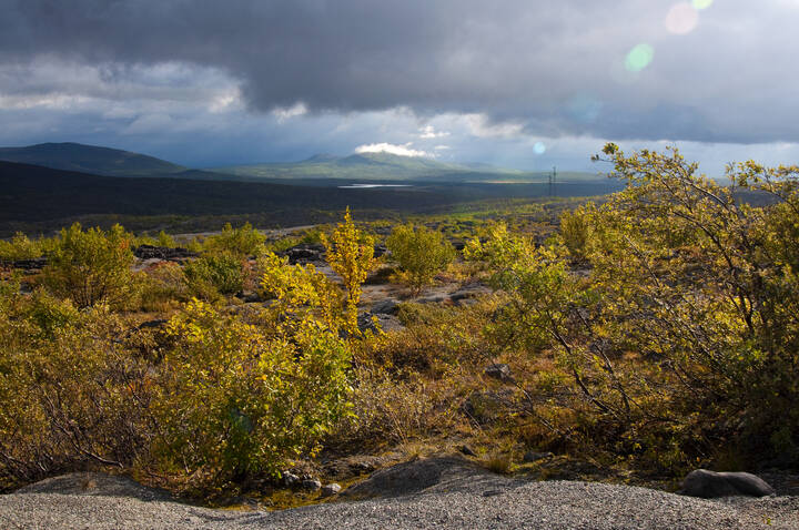 Kola Peninsula. Мончетундра