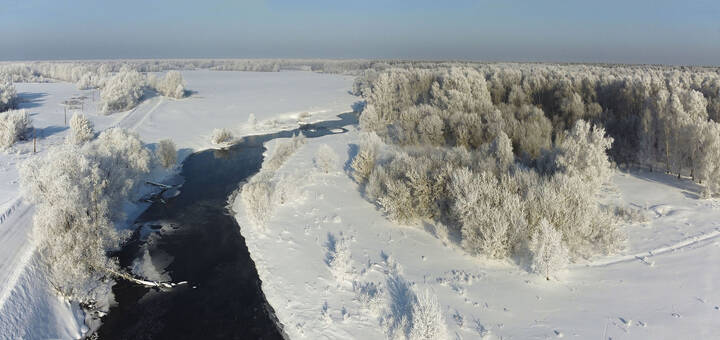 В морозное утро