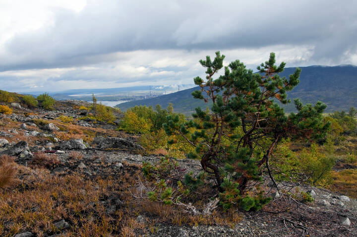 Kola Peninsula. Мончетундра