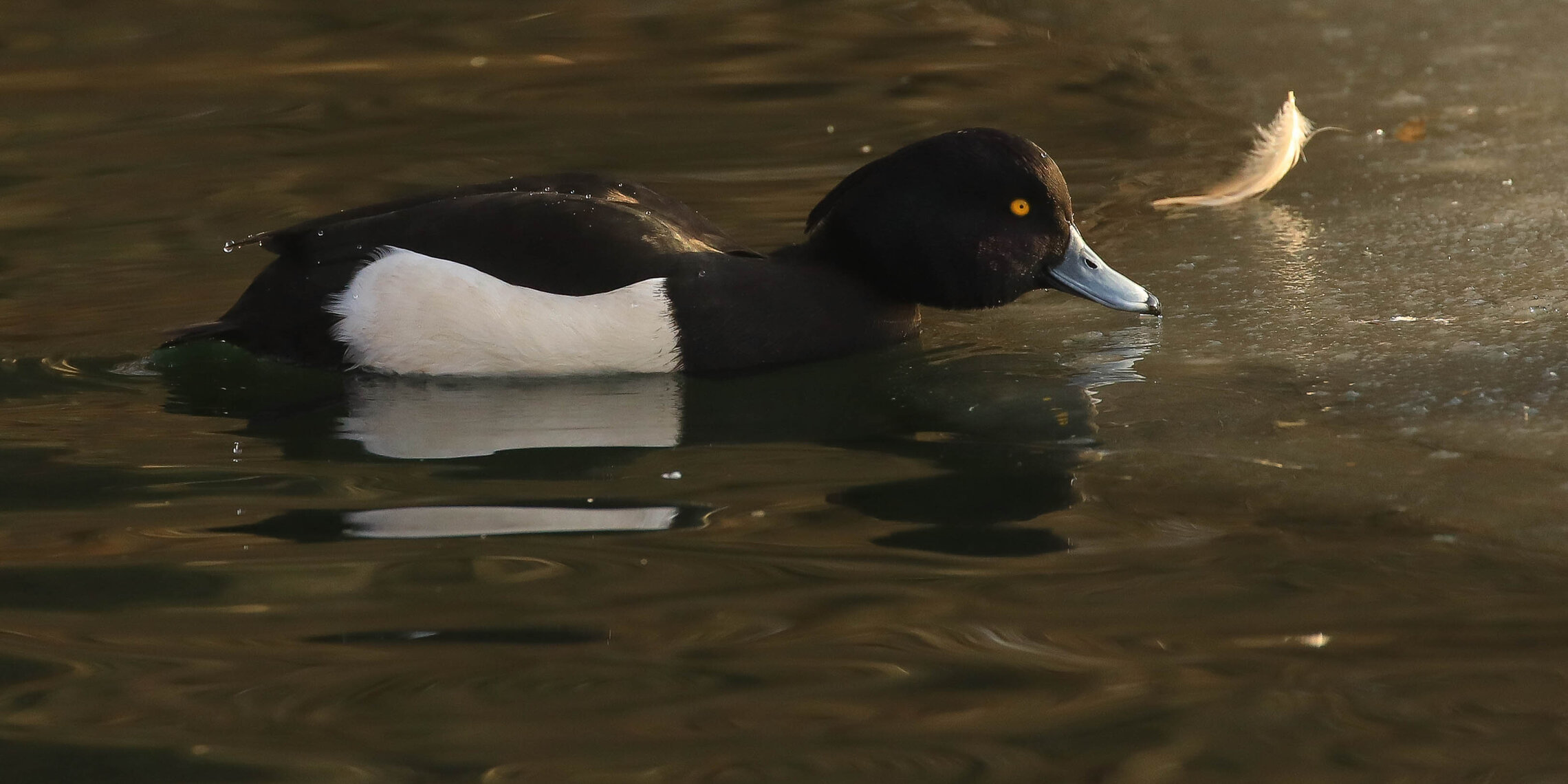 Проверка льда на прочность