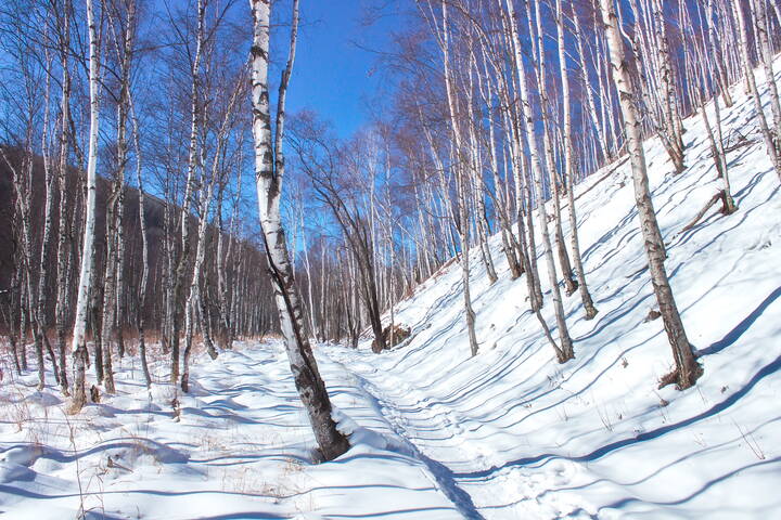 Распадок Тёмная Падь