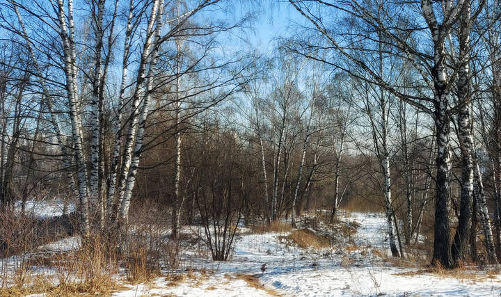 Март.