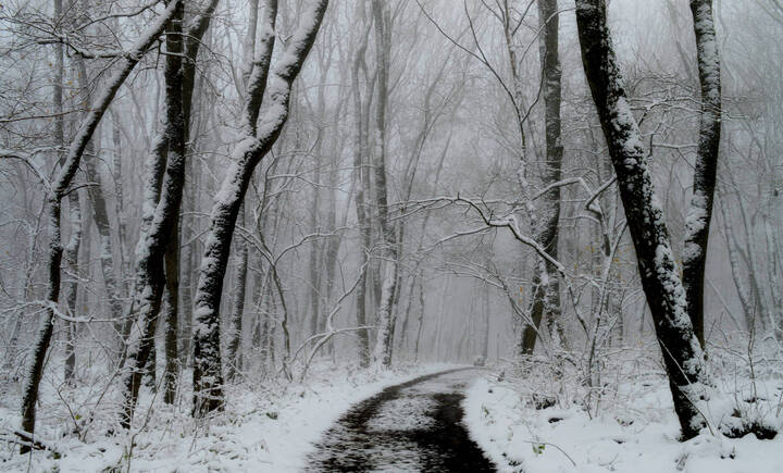 В лесу затуманенном.......