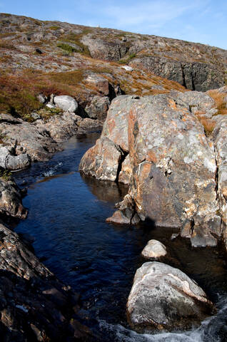# 1