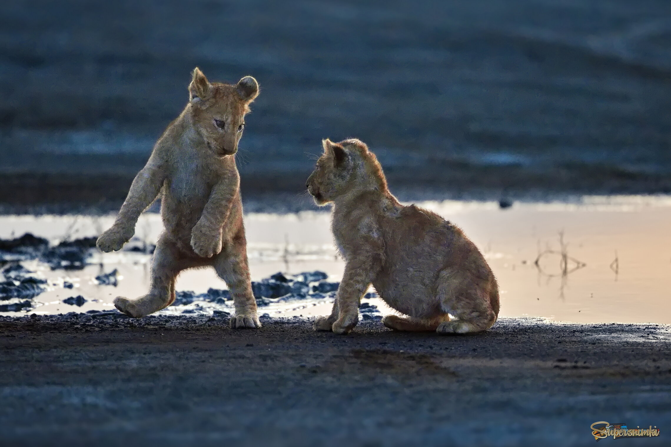 Давай еще поиграем, пока светло!