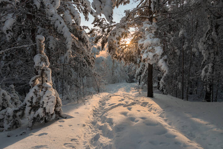 Снежно в лесу...