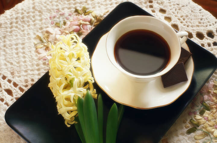 Текущая версия