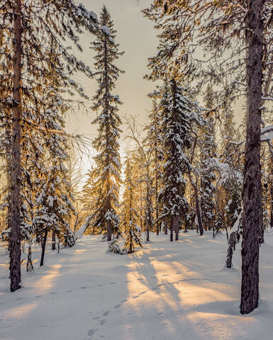 *****