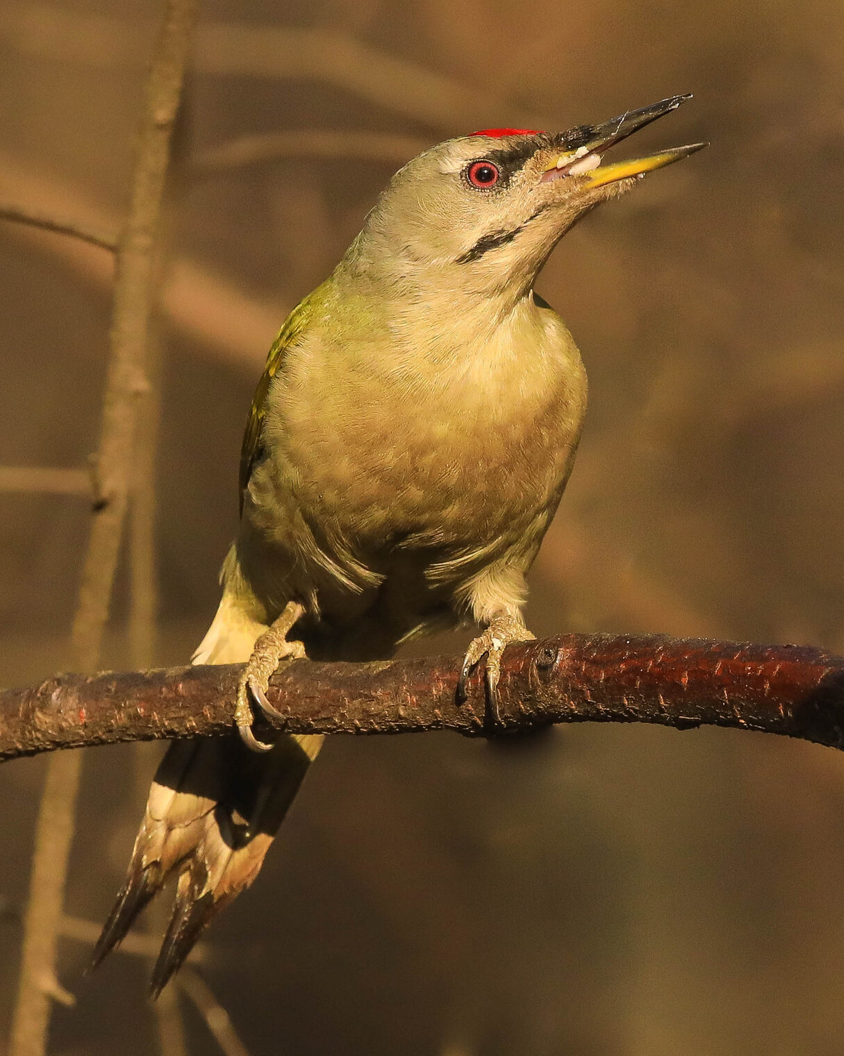 Что это я ем?! 