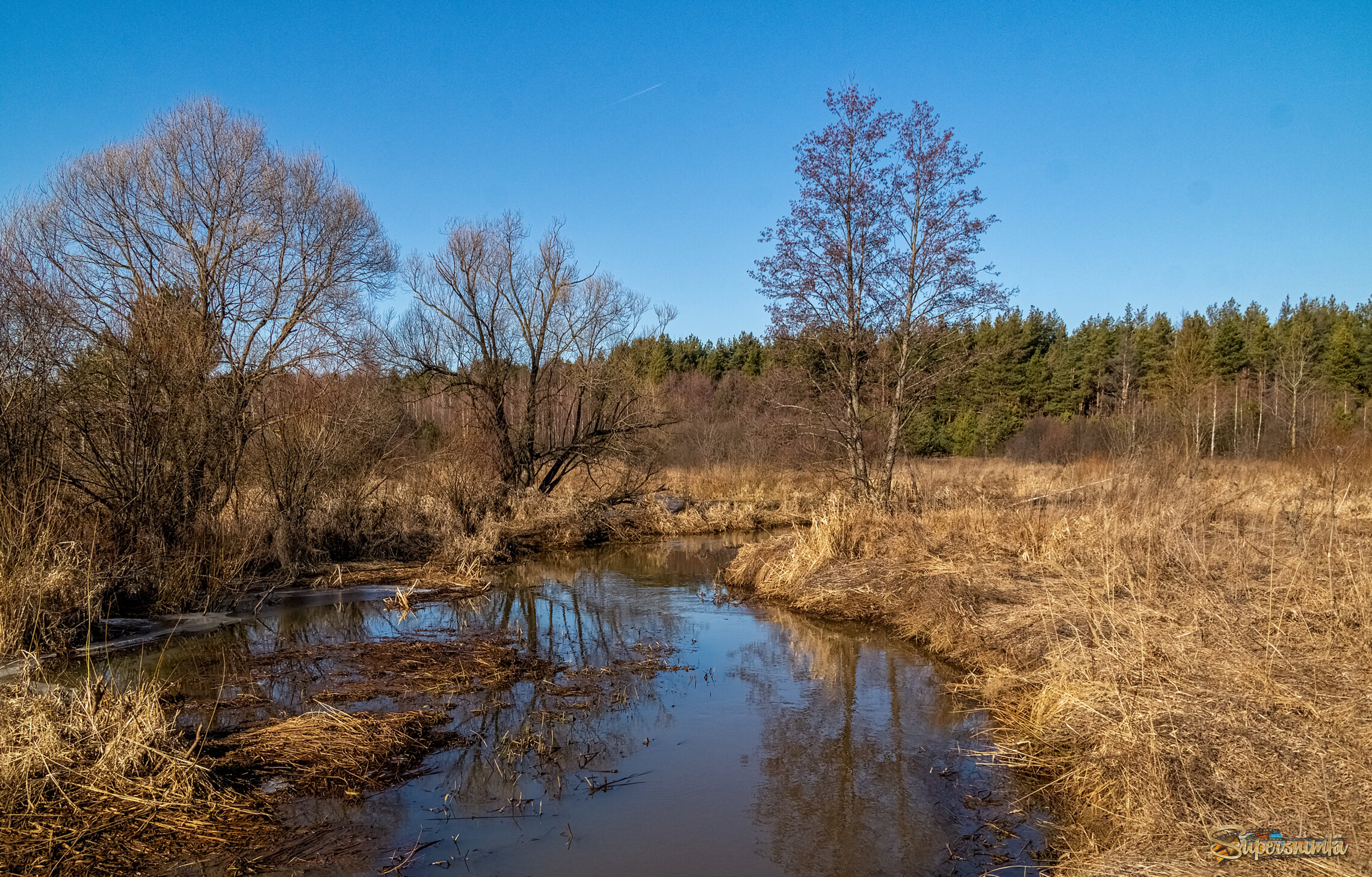Начало Подмосковной весны 2 