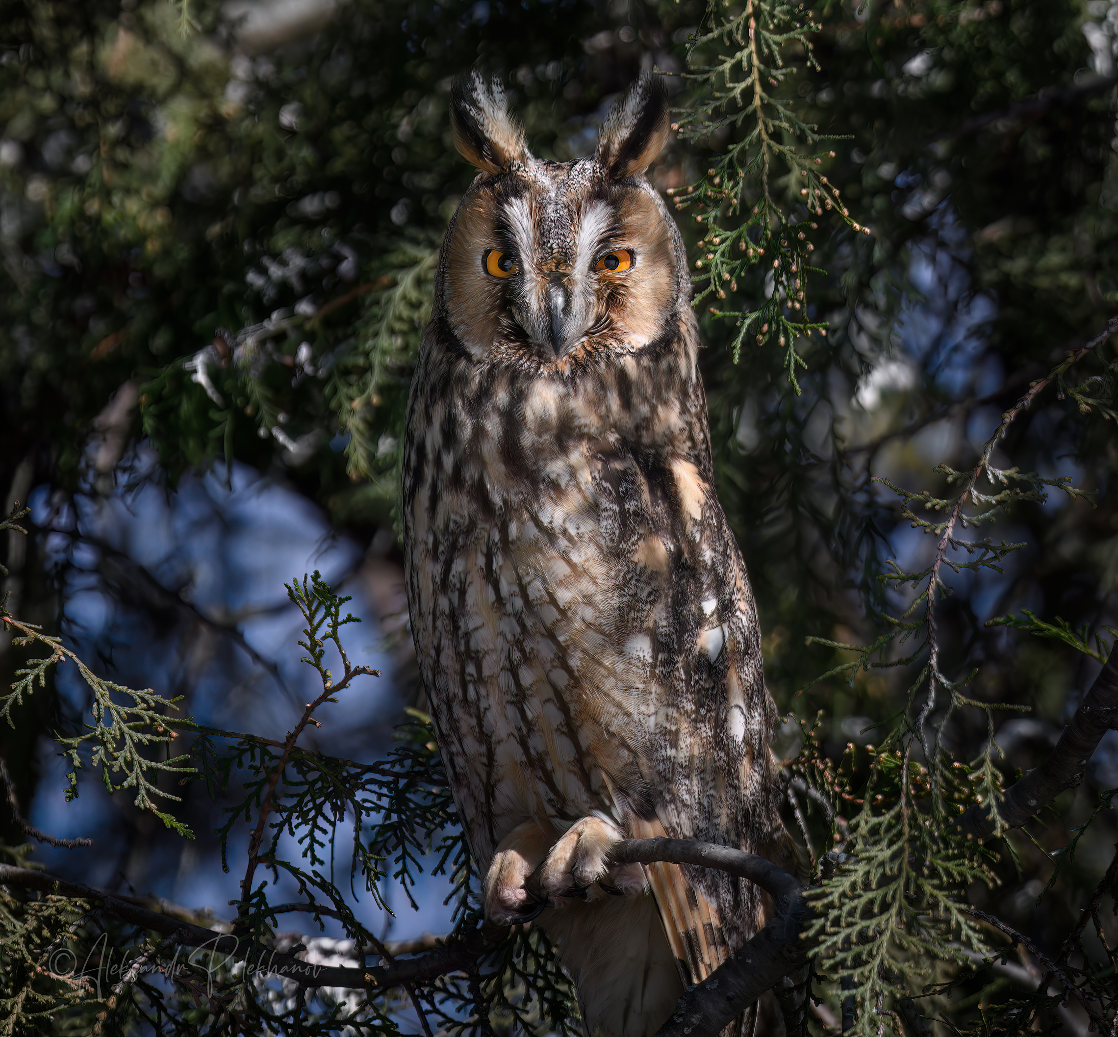 Пройдёшь мимо и не заметишь