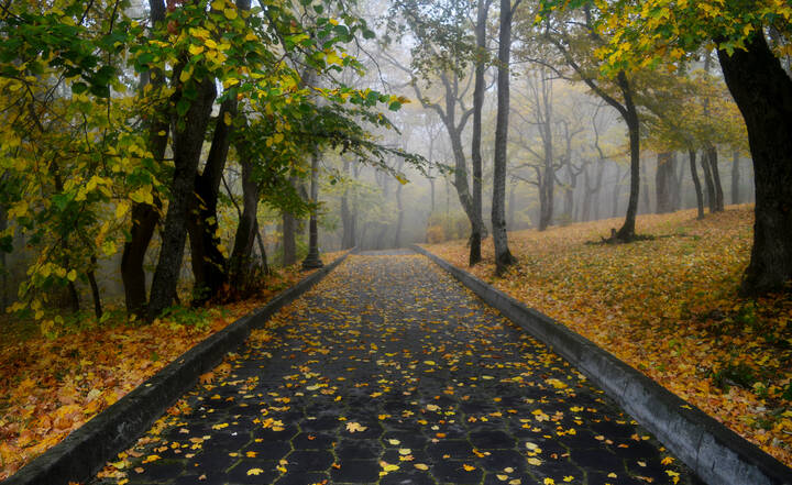 В парке осеннем....... 