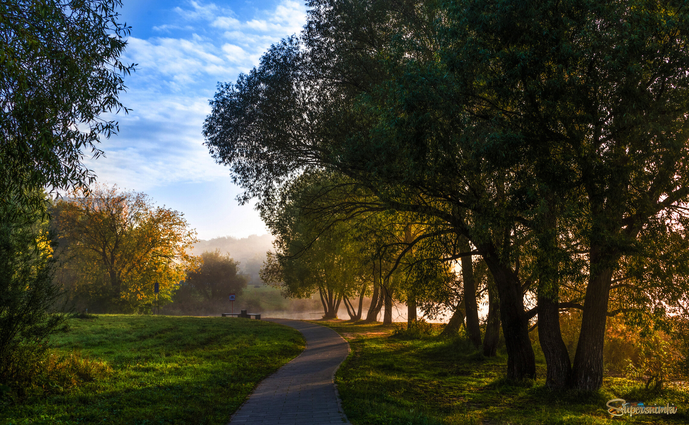 Утро в парке.