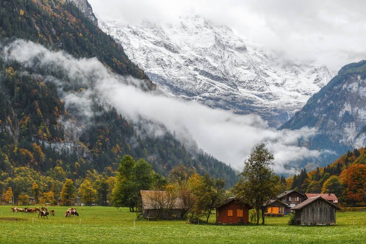 # 1