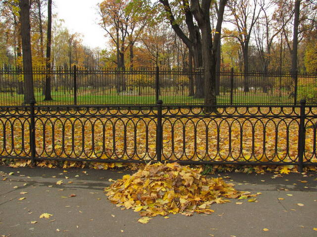 Бывшее лето