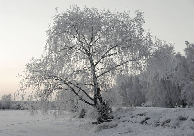 Зимний берег местной р.Ачаирка.