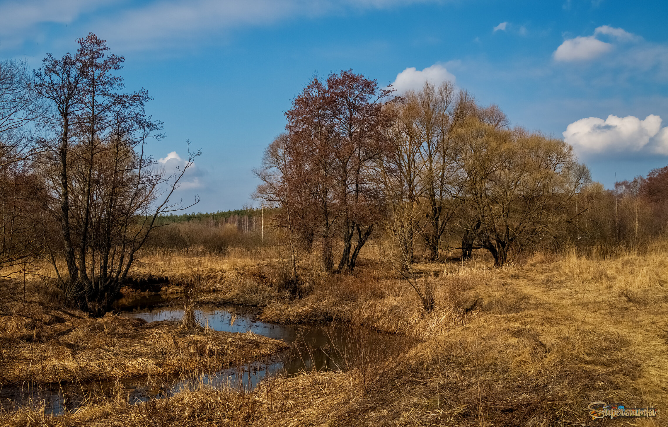 Весна набирает обороты 
