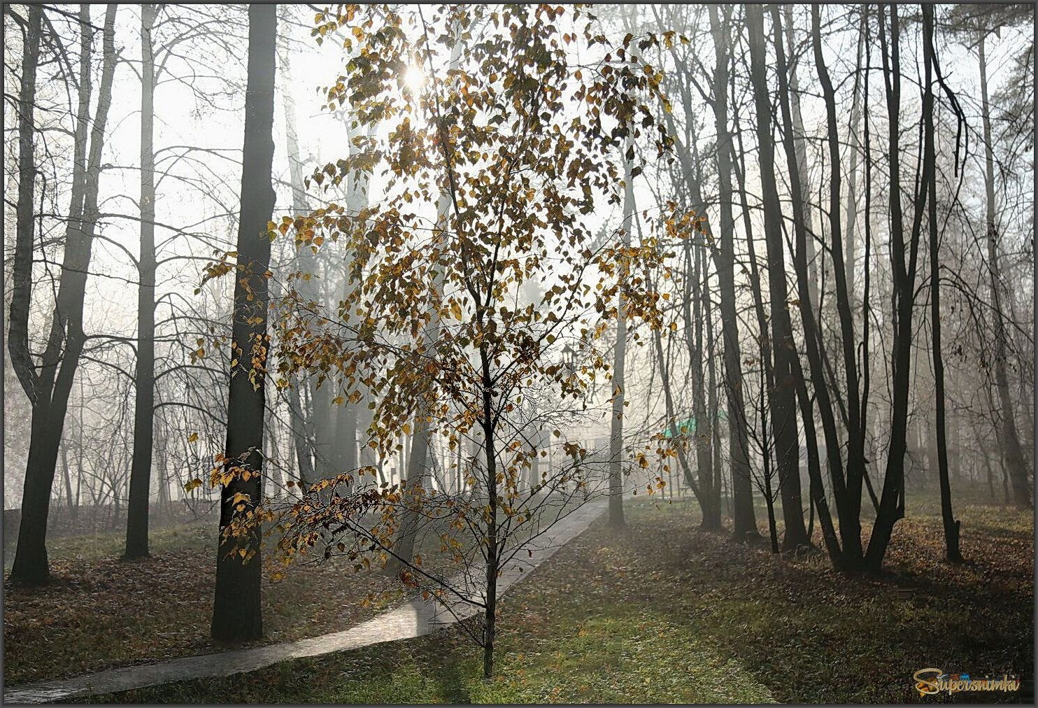 Однажды, в туман...