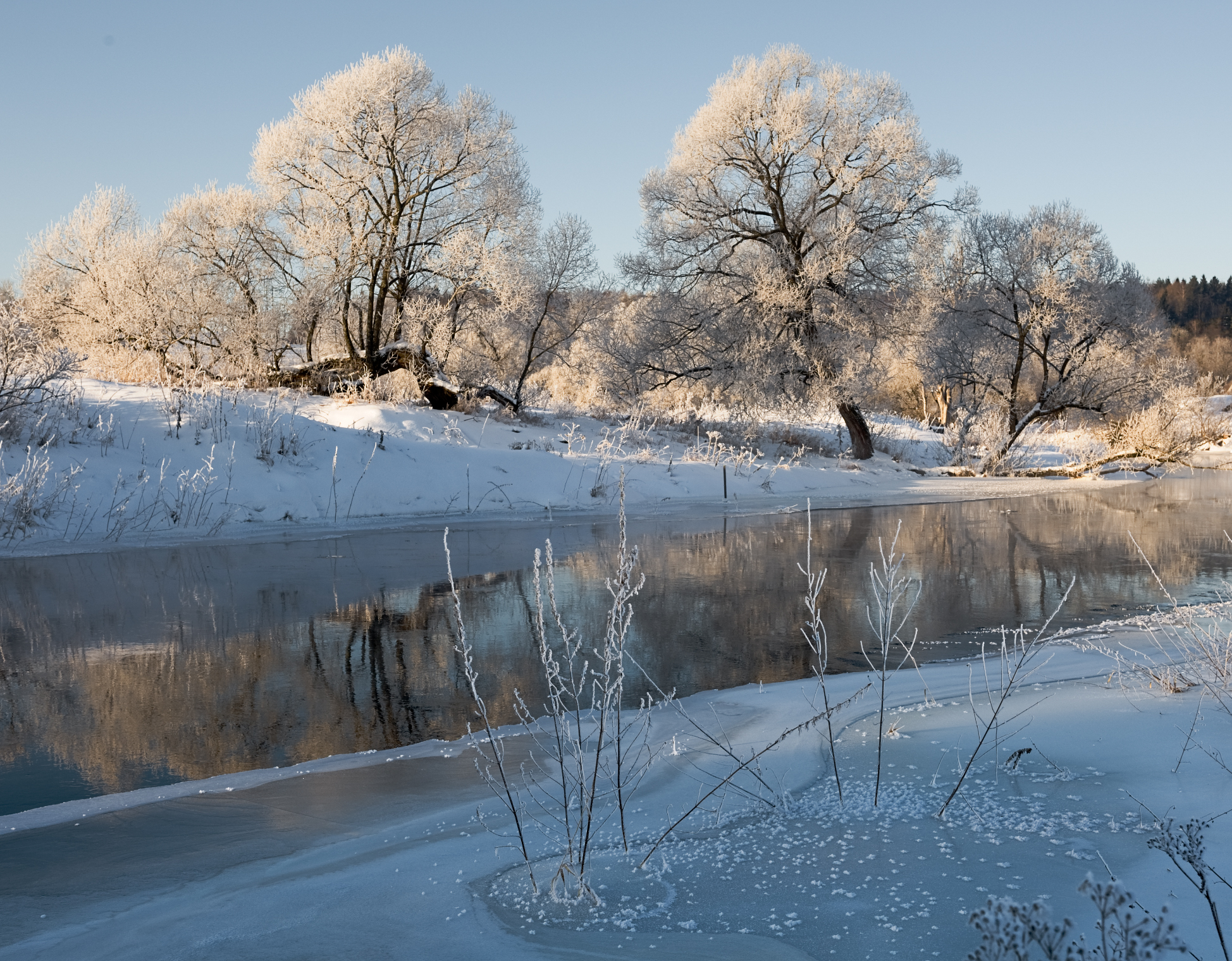 Истра, январь